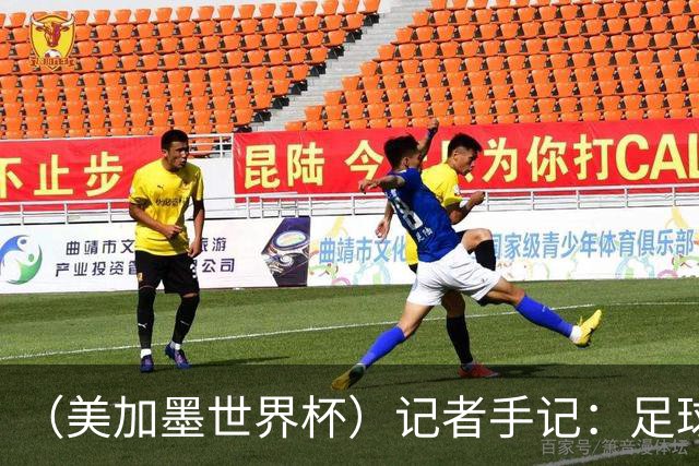 （美加墨世界杯）记者手记：足球在美国，熟悉又陌生